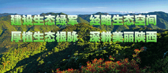 陕西省林业有害生物防治检疫条例