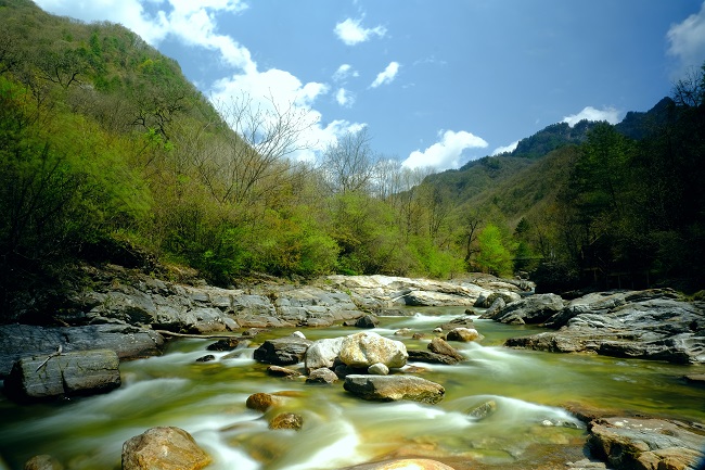 快来投票陕西黄柏塬国家级自然保护区！