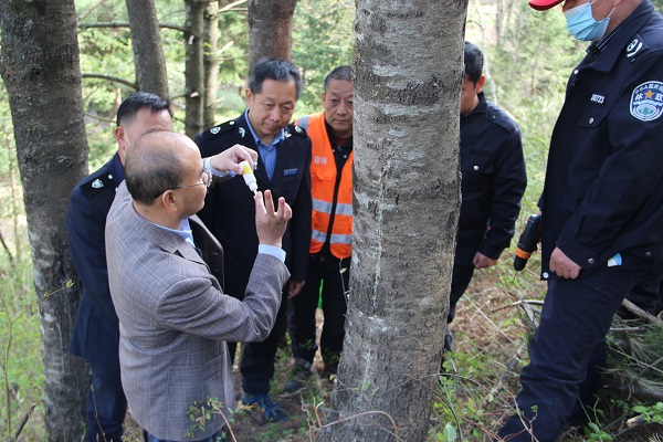 西北农林科技大学唐光辉教授 赴陕西省太白林业局指导林业有害生物防治工作