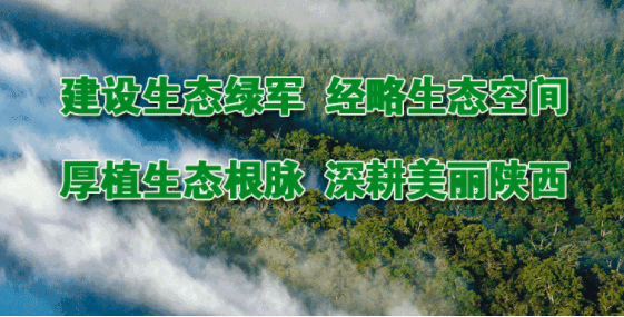 省林业局传达学习习近平总书记在广东考察时的重要讲话精神