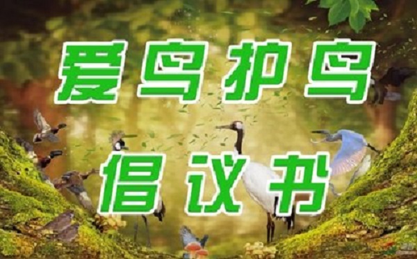 中国野生动物保护协会关于保护野生鸟类的倡议
