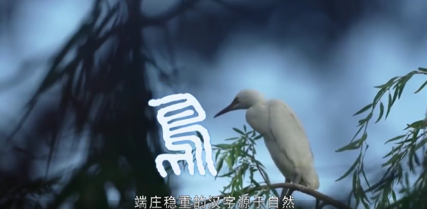 COP15中国宣传片